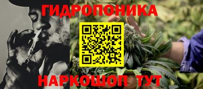 гидропоника Кунгур